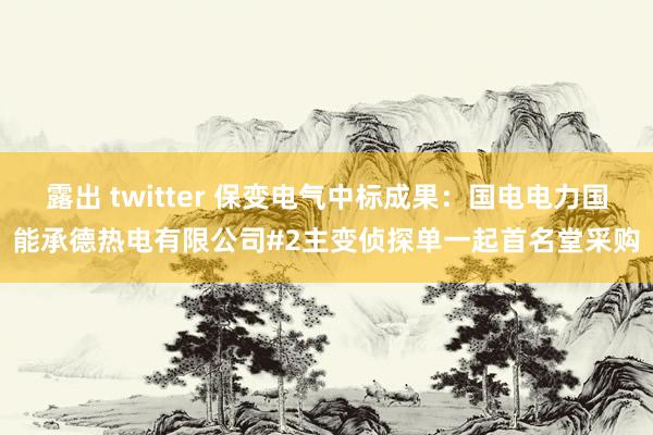 露出 twitter 保变电气中标成果：国电电力国能承德热电有限公司#2主变侦探单一起首名堂采购