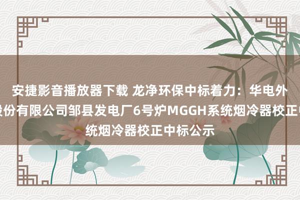 安捷影音播放器下载 龙净环保中标着力：华电外洋电力股份有限公司邹县发电厂6号炉MGGH系统烟冷器校正中标公示