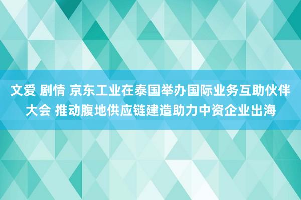 文爱 剧情 京东工业在泰国举办国际业务互助伙伴大会 推动腹地供应链建造助力中资企业出海