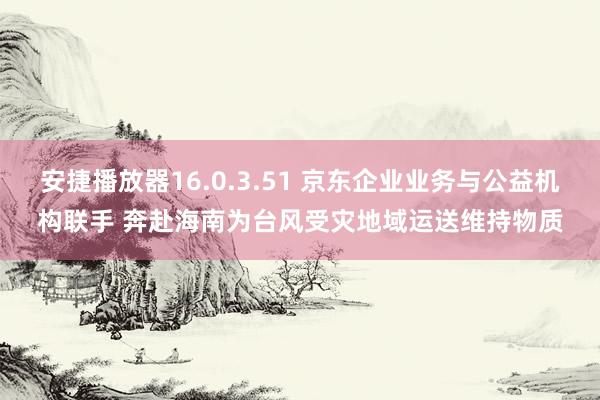 安捷播放器16.0.3.51 京东企业业务与公益机构联手 奔赴海南为台风受灾地域运送维持物质