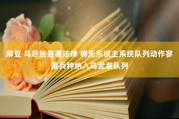 麻豆 乌总统签署法律 将无东谈主系统队列动作寥落兵种纳入乌武装队列