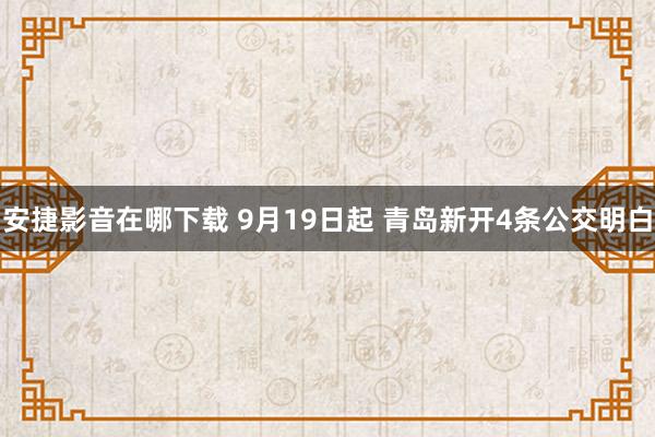 安捷影音在哪下载 9月19日起 青岛新开4条公交明白