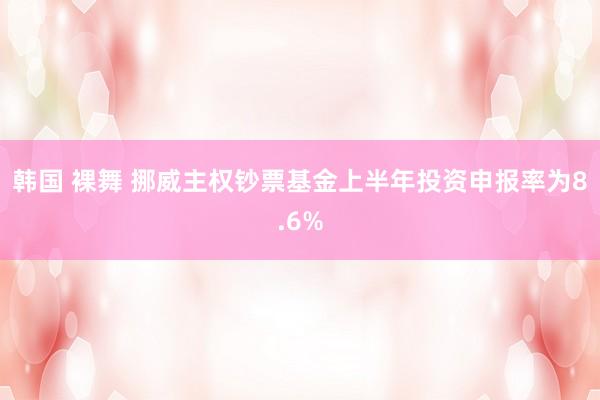 韩国 裸舞 挪威主权钞票基金上半年投资申报率为8.6%