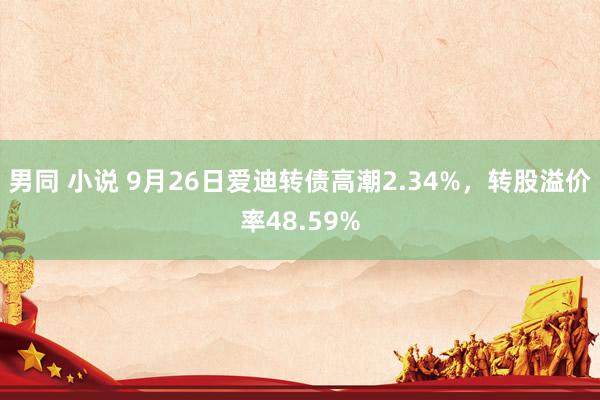 男同 小说 9月26日爱迪转债高潮2.34%，转股溢价率48.59%