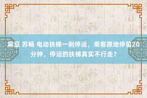 麻豆 苏畅 电动扶梯一刹停运，乘客原地停留20分钟，停运的扶梯真实不行走？