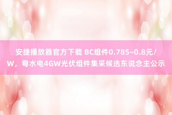 安捷播放器官方下载 BC组件0.785~0.8元/W，粤水电4GW光伏组件集采候选东说念主公示