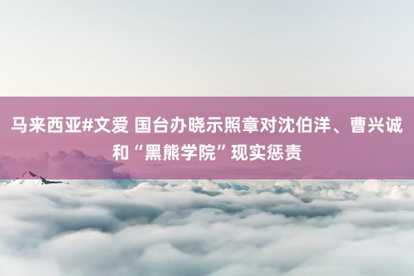 马来西亚#文爱 国台办晓示照章对沈伯洋、曹兴诚和“黑熊学院”现实惩责