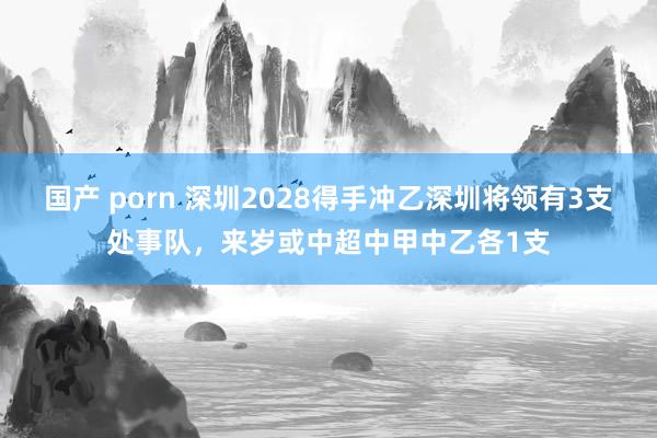 国产 porn 深圳2028得手冲乙深圳将领有3支处事队，来岁或中超中甲中乙各1支