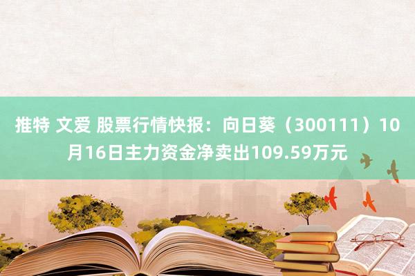 推特 文爱 股票行情快报：向日葵（300111）10月16日主力资金净卖出109.59万元