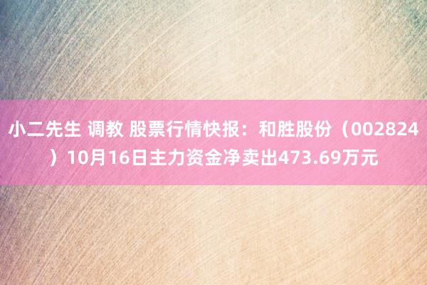 小二先生 调教 股票行情快报：和胜股份（002824）10月16日主力资金净卖出473.69万元