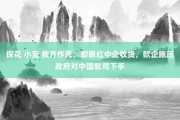 探花 小宝 我方作死，却眼红中企收货，欧企施压政府对中国航司下手