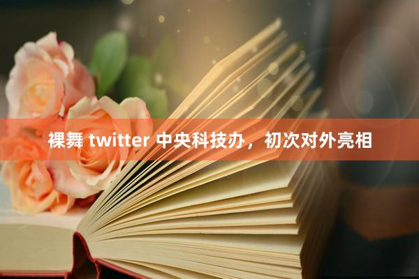 裸舞 twitter 中央科技办，初次对外亮相