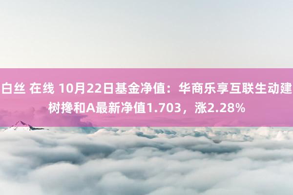 白丝 在线 10月22日基金净值：华商乐享互联生动建树搀和A最新净值1.703，涨2.28%