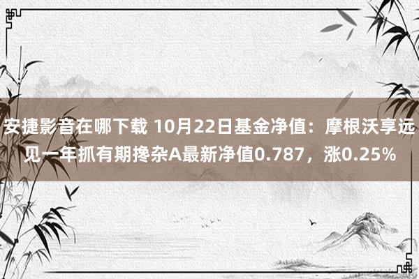 安捷影音在哪下载 10月22日基金净值：摩根沃享远见一年抓有期搀杂A最新净值0.787，涨0.25%