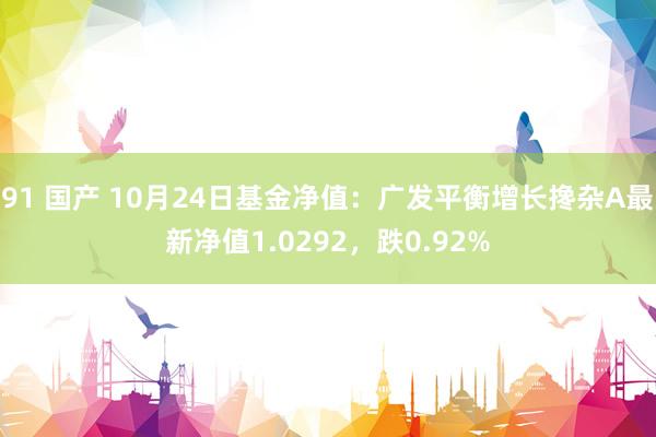 91 国产 10月24日基金净值：广发平衡增长搀杂A最新净值1.0292，跌0.92%