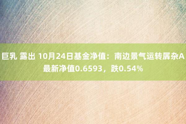 巨乳 露出 10月24日基金净值：南边景气运转羼杂A最新净值0.6593，跌0.54%