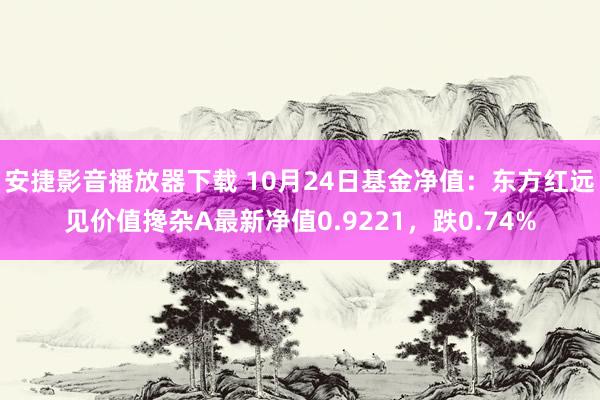 安捷影音播放器下载 10月24日基金净值：东方红远见价值搀杂A最新净值0.9221，跌0.74%