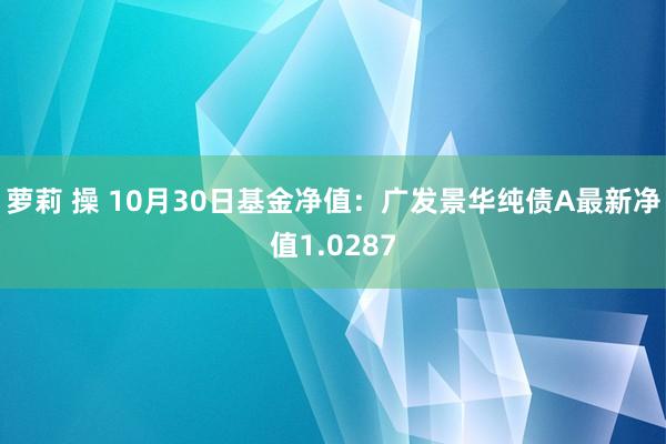 萝莉 操 10月30日基金净值：广发景华纯债A最新净值1.0287