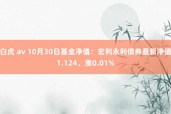 白虎 av 10月30日基金净值：宏利永利债券最新净值1.124，涨0.01%