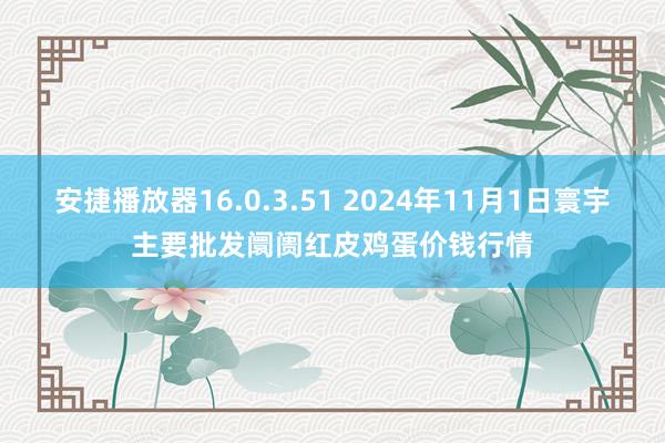 安捷播放器16.0.3.51 2024年11月1日寰宇主要批发阛阓红皮鸡蛋价钱行情