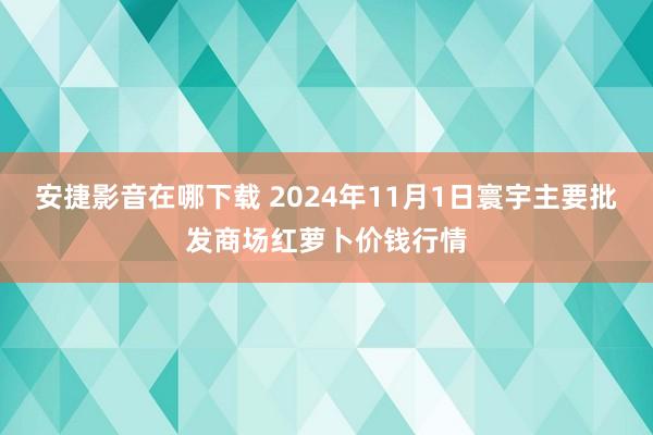 安捷影音在哪下载 2024年11月1日寰宇主要批发商场红萝卜价钱行情