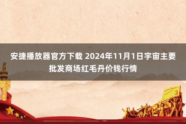 安捷播放器官方下载 2024年11月1日宇宙主要批发商场红毛丹价钱行情