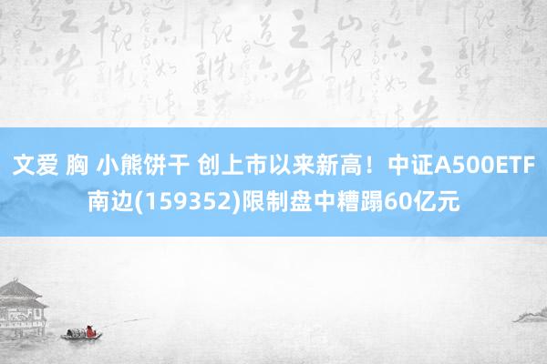 文爱 胸 小熊饼干 创上市以来新高！中证A500ETF南边(159352)限制盘中糟蹋60亿元