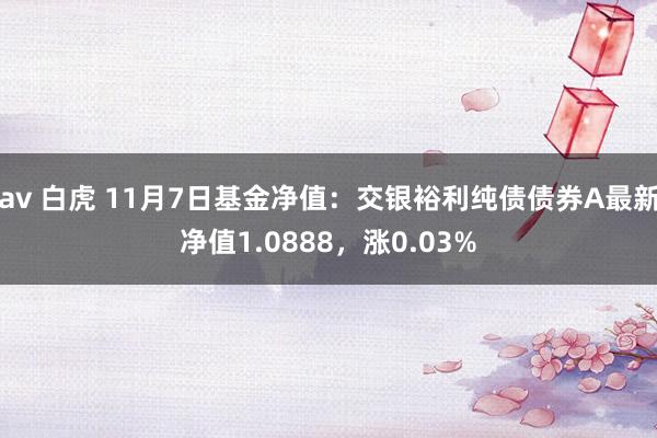 av 白虎 11月7日基金净值：交银裕利纯债债券A最新净值1.0888，涨0.03%