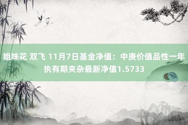 姐妹花 双飞 11月7日基金净值：中庚价值品性一年执有期夹杂最新净值1.5733