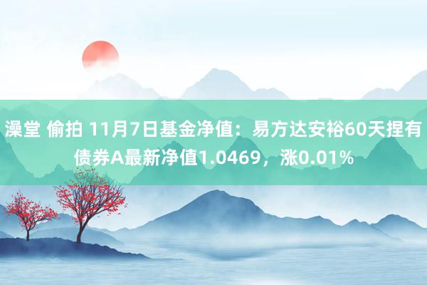 澡堂 偷拍 11月7日基金净值：易方达安裕60天捏有债券A最新净值1.0469，涨0.01%