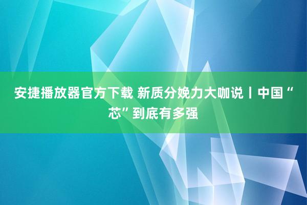 安捷播放器官方下载 新质分娩力大咖说丨中国“芯”到底有多强