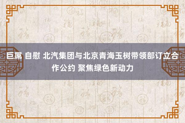 巨屌 自慰 北汽集团与北京青海玉树带领部订立合作公约 聚焦绿色新动力