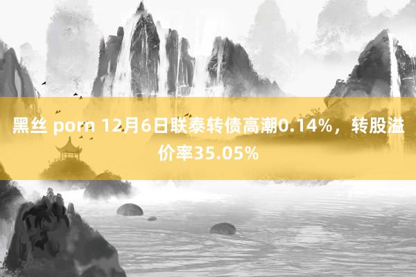 黑丝 porn 12月6日联泰转债高潮0.14%，转股溢价率35.05%