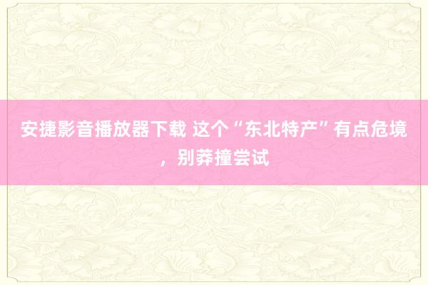 安捷影音播放器下载 这个“东北特产”有点危境，别莽撞尝试