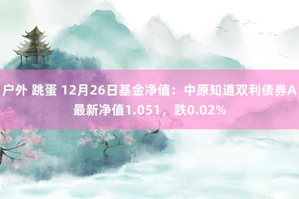 户外 跳蛋 12月26日基金净值：中原知道双利债券A最新净值1.051，跌0.02%