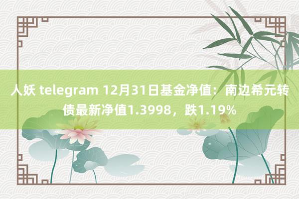 人妖 telegram 12月31日基金净值：南边希元转债最新净值1.3998，跌1.19%