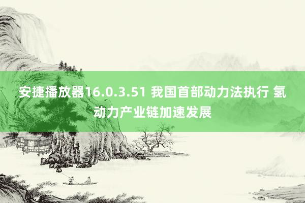 安捷播放器16.0.3.51 我国首部动力法执行 氢动力产业链加速发展