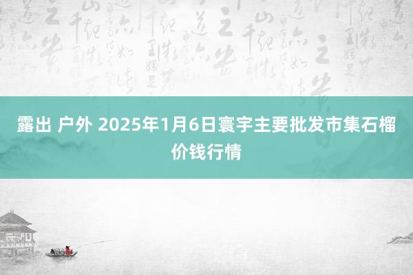 露出 户外 2025年1月6日寰宇主要批发市集石榴价钱行情