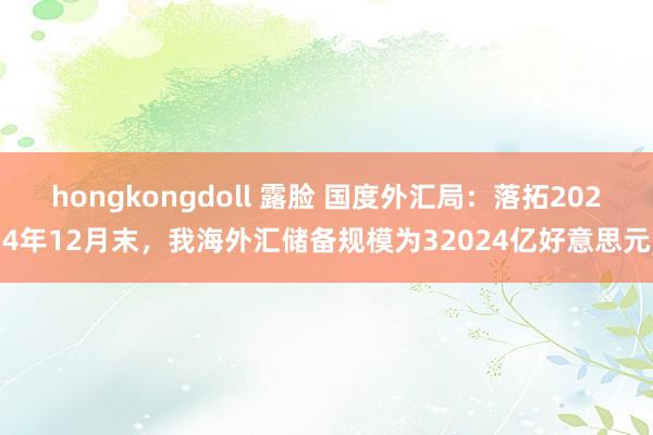 hongkongdoll 露脸 国度外汇局：落拓2024年12月末，我海外汇储备规模为32024亿好意思元