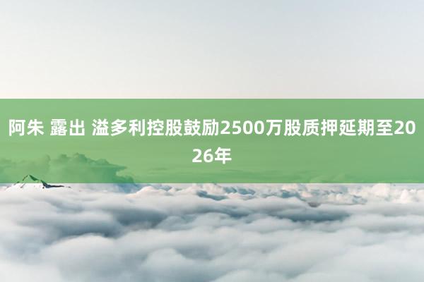 阿朱 露出 溢多利控股鼓励2500万股质押延期至2026年