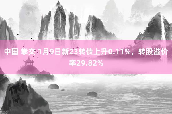 中国 拳交 1月9日新23转债上升0.11%，转股溢价率29.82%