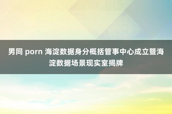 男同 porn 海淀数据身分概括管事中心成立暨海淀数据场景现实室揭牌