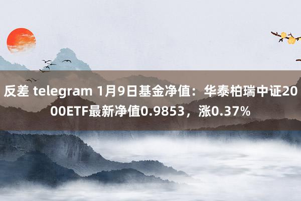 反差 telegram 1月9日基金净值：华泰柏瑞中证2000ETF最新净值0.9853，涨0.37%