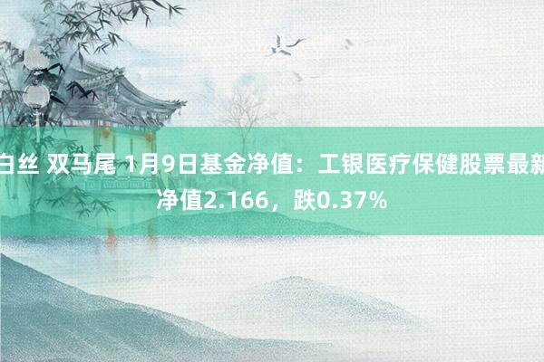 白丝 双马尾 1月9日基金净值：工银医疗保健股票最新净值2.166，跌0.37%