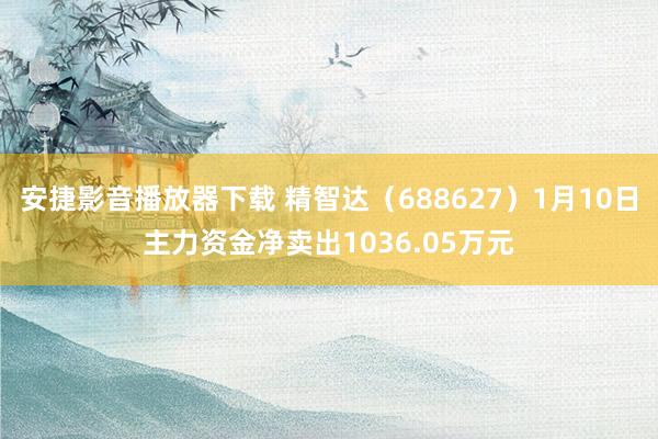 安捷影音播放器下载 精智达（688627）1月10日主力资金净卖出1036.05万元