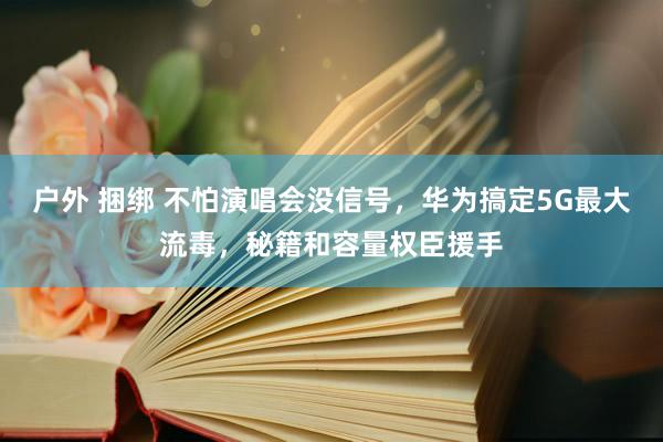 户外 捆绑 不怕演唱会没信号，华为搞定5G最大流毒，秘籍和容量权臣援手