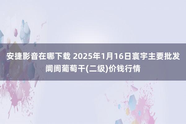 安捷影音在哪下载 2025年1月16日寰宇主要批发阛阓葡萄干(二级)价钱行情