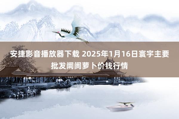 安捷影音播放器下载 2025年1月16日寰宇主要批发阛阓萝卜价钱行情